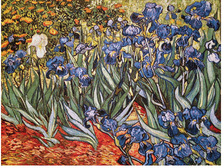 Tapisserie les iris bleus de Van Gogh